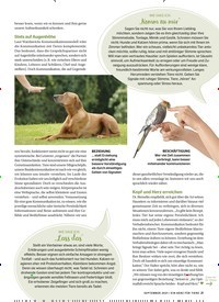 Titelbild der Ausgabe 9/2021 von Sind Sie ein Tierflüsterer?. Zeitschriften als Abo oder epaper bei United Kiosk online kaufen.