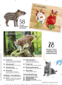 Titelbild der Ausgabe 10/2021 von Goldener Oktober. Zeitschriften als Abo oder epaper bei United Kiosk online kaufen.