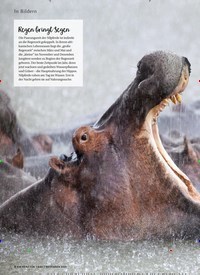 Titelbild der Ausgabe 11/2021 von Regentage. Zeitschriften als Abo oder epaper bei United Kiosk online kaufen.