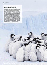 Titelbild der Ausgabe 12/2021 von Wohlig warm. Zeitschriften als Abo oder epaper bei United Kiosk online kaufen.