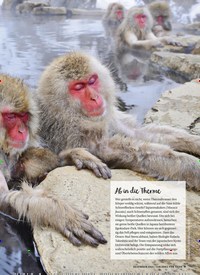 Titelbild der Ausgabe 12/2021 von News. Zeitschriften als Abo oder epaper bei United Kiosk online kaufen.