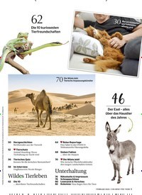 Titelbild der Ausgabe 2/2022 von Tierisches Geknutsche. Zeitschriften als Abo oder epaper bei United Kiosk online kaufen.