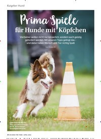 Titelbild der Ausgabe 4/2022 von Prima Spiele für Hunde mit Köpfchen. Zeitschriften als Abo oder epaper bei United Kiosk online kaufen.