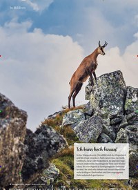 Titelbild der Ausgabe 7/2022 von Tiere im Gebirge. Zeitschriften als Abo oder epaper bei United Kiosk online kaufen.