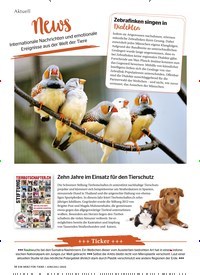 Titelbild der Ausgabe 7/2022 von News. Zeitschriften als Abo oder epaper bei United Kiosk online kaufen.