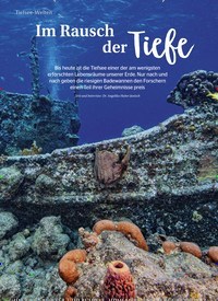 Titelbild der Ausgabe 7/2022 von Im Rausch der Tiefe. Zeitschriften als Abo oder epaper bei United Kiosk online kaufen.