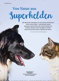 Titelbild der Ausgabe 8/2022 von Von Natur aus Superhelden. Zeitschriften als Abo oder epaper bei United Kiosk online kaufen.