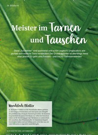 Titelbild der Ausgabe 9/2022 von Meister im Tarnen und Täuschen. Zeitschriften als Abo oder epaper bei United Kiosk online kaufen.