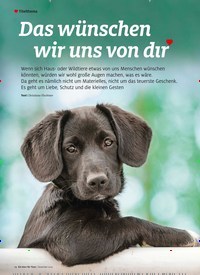 Titelbild der Ausgabe 12/2022 von Das wünschen wir uns von dir. Zeitschriften als Abo oder epaper bei United Kiosk online kaufen.