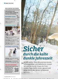 Titelbild der Ausgabe 12/2022 von Sicher durch die kalte dunkle Jahreszeit. Zeitschriften als Abo oder epaper bei United Kiosk online kaufen.