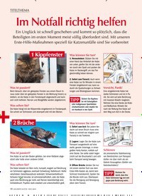 Titelbild der Ausgabe 7/2019 von TITELTHEMA: Im Notfall richtig helfen. Zeitschriften als Abo oder epaper bei United Kiosk online kaufen.