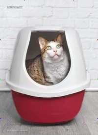Titelbild der Ausgabe 10/2019 von Harnwege: Gesund & fit: FLUTD – Wenn Stress auf die Blase schlägt. Zeitschriften als Abo oder epaper bei United Kiosk online kaufen.