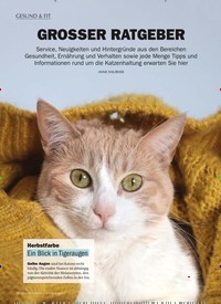 Titelbild der Ausgabe 10/2019 von Gesund & Fit: GROSSER RATGEBER. Zeitschriften als Abo oder epaper bei United Kiosk online kaufen.
