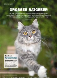 Titelbild der Ausgabe 11/2019 von GROSSER RATGEBER. Zeitschriften als Abo oder epaper bei United Kiosk online kaufen.