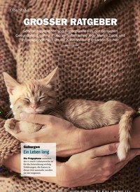 Titelbild der Ausgabe 12/2019 von GESUND & FIT: GROSSER RATGEBER. Zeitschriften als Abo oder epaper bei United Kiosk online kaufen.