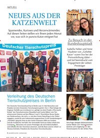 Titelbild der Ausgabe 1/2020 von AKTUELL: NEUES AUS DER KATZENWELT. Zeitschriften als Abo oder epaper bei United Kiosk online kaufen.