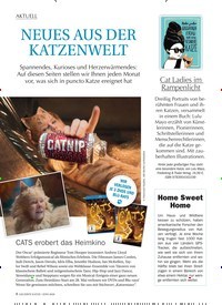 Titelbild der Ausgabe 6/2020 von AKTUELL: NEUES AUS DER KATZENWELT. Zeitschriften als Abo oder epaper bei United Kiosk online kaufen.