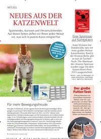 Titelbild der Ausgabe 8/2020 von AKTUELL: NEUES AUS DER KATZENWELT. Zeitschriften als Abo oder epaper bei United Kiosk online kaufen.