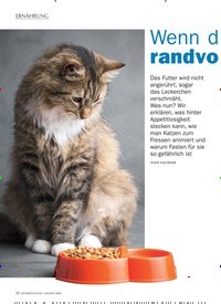 Titelbild der Ausgabe 8/2020 von ERNÄHRUNG: Wenn der Napf randvoll bleibt. Zeitschriften als Abo oder epaper bei United Kiosk online kaufen.