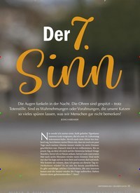 Titelbild der Ausgabe 9/2021 von Supersinne — oder doch übersinnlich?. Zeitschriften als Abo oder epaper bei United Kiosk online kaufen.