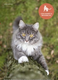 Titelbild der Ausgabe 1/2022 von Starke Krallen für starke Katzen. Zeitschriften als Abo oder epaper bei United Kiosk online kaufen.