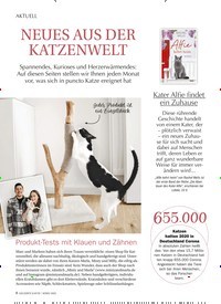 Titelbild der Ausgabe 3/2022 von NEUES AUS DER KATZENWELT. Zeitschriften als Abo oder epaper bei United Kiosk online kaufen.