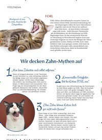 Titelbild der Ausgabe 4/2022 von Wir decken Zahn-Mythen auf. Zeitschriften als Abo oder epaper bei United Kiosk online kaufen.