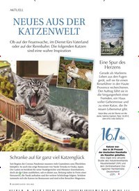 Titelbild der Ausgabe 7/2022 von NEUES AUS DER KATZENWELT. Zeitschriften als Abo oder epaper bei United Kiosk online kaufen.