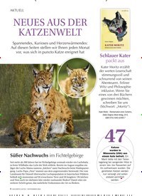 Titelbild der Ausgabe 11/2022 von NEUES AUS DER KAT ZENWELT. Zeitschriften als Abo oder epaper bei United Kiosk online kaufen.