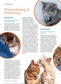 Titelbild der Ausgabe 10/2023 von Wahrnehmung & Erinnerung. Zeitschriften als Abo oder epaper bei United Kiosk online kaufen.