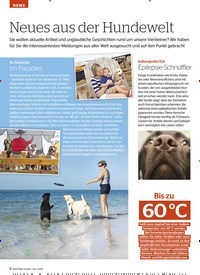 Titelbild der Ausgabe 7/2019 von NEWS: Neues aus der Hundewelt. Zeitschriften als Abo oder epaper bei United Kiosk online kaufen.