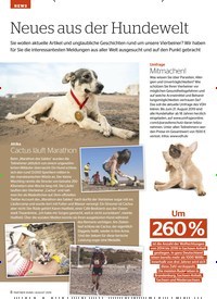 Titelbild der Ausgabe 8/2019 von NEWS: Neues aus der Hundewelt. Zeitschriften als Abo oder epaper bei United Kiosk online kaufen.