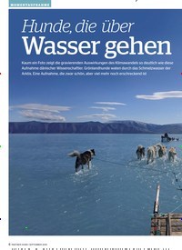 Titelbild der Ausgabe 9/2019 von MOMENTAUFNAHME: Hunde, die über: Wasser gehen. Zeitschriften als Abo oder epaper bei United Kiosk online kaufen.
