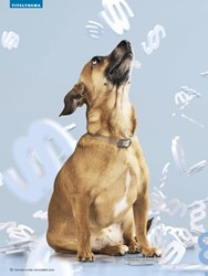 Titelbild der Ausgabe 11/2019 von TITELTHEMA: Das ist mein Recht!. Zeitschriften als Abo oder epaper bei United Kiosk online kaufen.