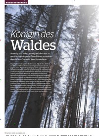 Titelbild der Ausgabe 12/2019 von MOMENTAUFNAHME: Königin des Waldes. Zeitschriften als Abo oder epaper bei United Kiosk online kaufen.