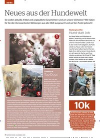 Titelbild der Ausgabe 12/2019 von NEWS: Neues aus der Hundewelt. Zeitschriften als Abo oder epaper bei United Kiosk online kaufen.