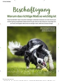 Titelbild der Ausgabe 3/2020 von TITELTHEMA: Beschäftigung Warum das richtige Maß so wichtig ist. Zeitschriften als Abo oder epaper bei United Kiosk online kaufen.