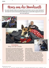 Titelbild der Ausgabe 6/2020 von NEWS: Neues aus der Hundewelt. Zeitschriften als Abo oder epaper bei United Kiosk online kaufen.