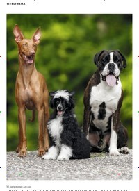 Titelbild der Ausgabe 6/2020 von TITELTHEMA: Welche Sozialkontakte braucht Ihr Hund wirklich?. Zeitschriften als Abo oder epaper bei United Kiosk online kaufen.