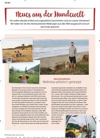 Titelbild der Ausgabe 8/2020 von Neues aus der Hundewelt. Zeitschriften als Abo oder epaper bei United Kiosk online kaufen.