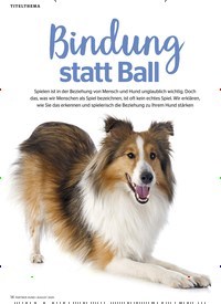 Titelbild der Ausgabe 8/2020 von Bindung statt Ball. Zeitschriften als Abo oder epaper bei United Kiosk online kaufen.
