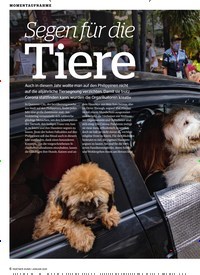 Titelbild der Ausgabe 1/2021 von MOMENTAUFNAHME: Segen für die Tiere. Zeitschriften als Abo oder epaper bei United Kiosk online kaufen.