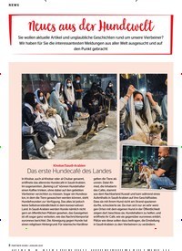 Titelbild der Ausgabe 1/2021 von NEWS: Neues aus der Hundewelt. Zeitschriften als Abo oder epaper bei United Kiosk online kaufen.