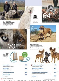 Titelbild der Ausgabe 10/2021 von Hochwasser Hundeleben. Zeitschriften als Abo oder epaper bei United Kiosk online kaufen.