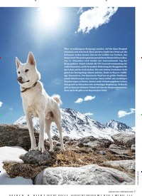 Titelbild der Ausgabe 1/2022 von Neues aus der Hundewelt. Zeitschriften als Abo oder epaper bei United Kiosk online kaufen.
