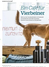Titelbild der Ausgabe 4/2022 von Ein Café für Vierbeiner. Zeitschriften als Abo oder epaper bei United Kiosk online kaufen.