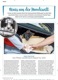 Titelbild der Ausgabe 4/2022 von Neues aus der Hundewelt. Zeitschriften als Abo oder epaper bei United Kiosk online kaufen.