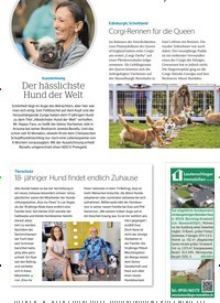 Titelbild der Ausgabe 9/2022 von 18- jähriger Hund findet endlich Zuhause. Zeitschriften als Abo oder epaper bei United Kiosk online kaufen.