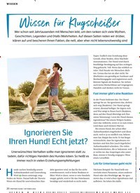 Titelbild der Ausgabe 10/2022 von Ignorieren Sie Ihren Hund! Echt jetzt?. Zeitschriften als Abo oder epaper bei United Kiosk online kaufen.