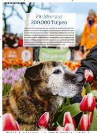 Titelbild der Ausgabe 4/2024 von Ein Meer aus 200.000 Tulpen. Zeitschriften als Abo oder epaper bei United Kiosk online kaufen.